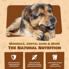 Superior Antler Dog Chews – matériau naturellement durable pour sessions longues.