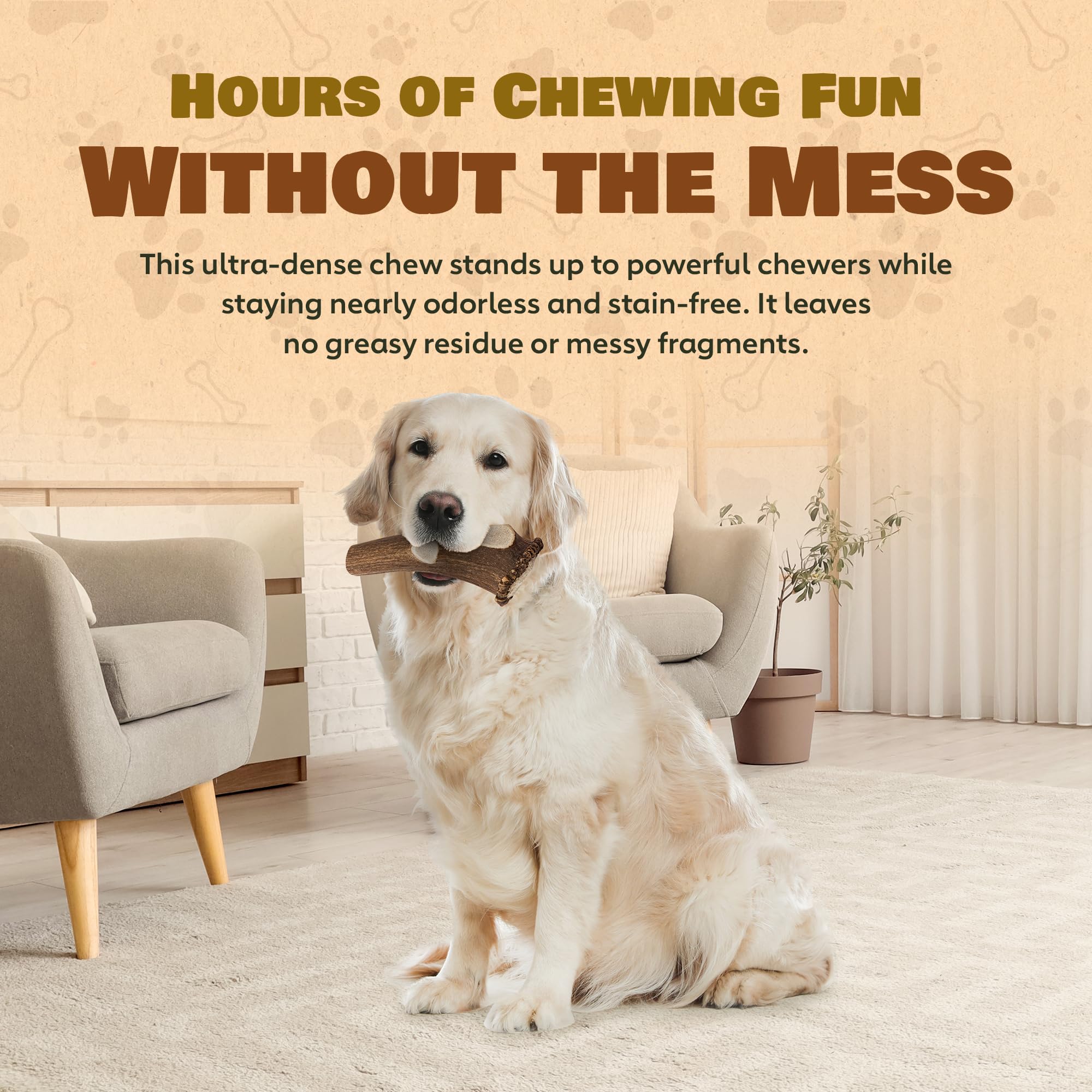 Superior Antler Dog Chews – usage intérieur et extérieur selon les préférences.