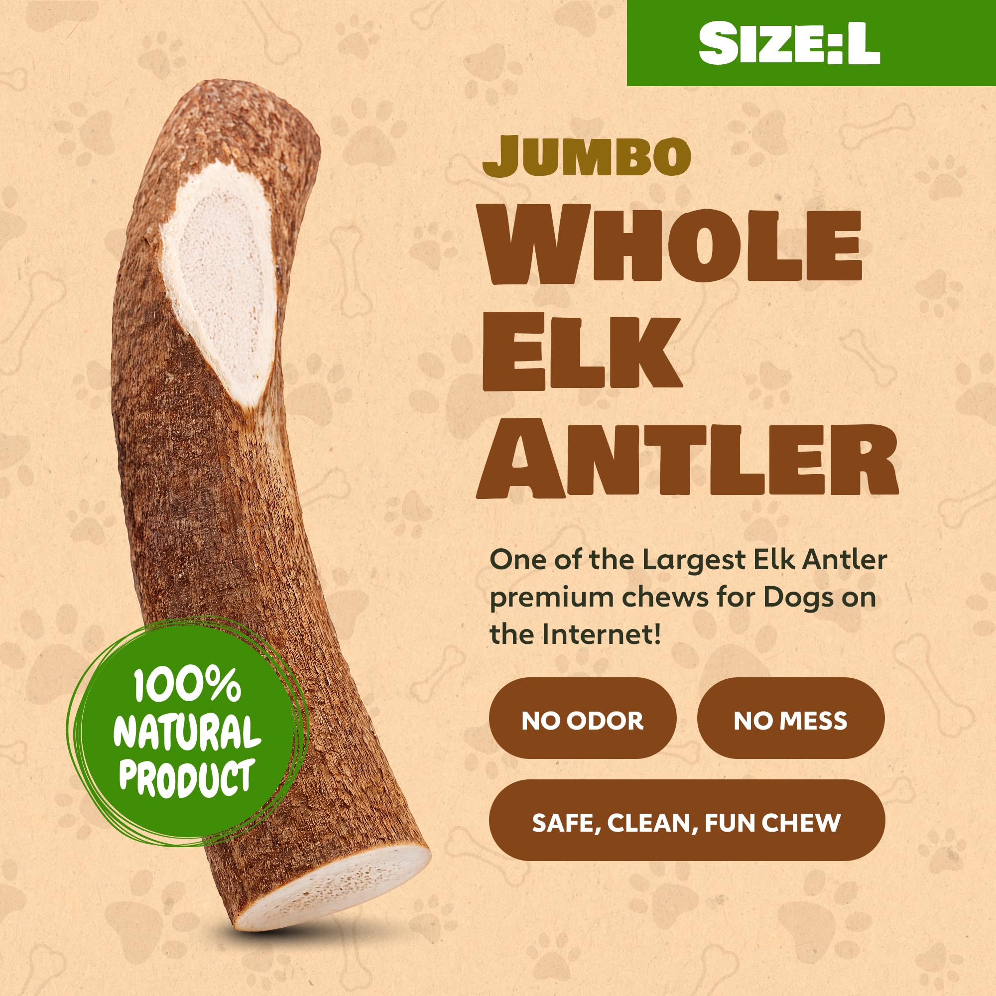 Superior Antler Dog Chews — idéal pour chiens agressifs, mastication prolongée et sécurisée.