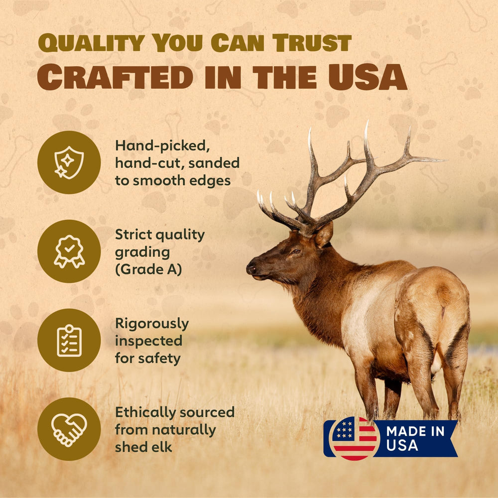 Superior Antler Dog Chews — surface lisse et arêtes réduites pour mastiquer en toute sécurité.