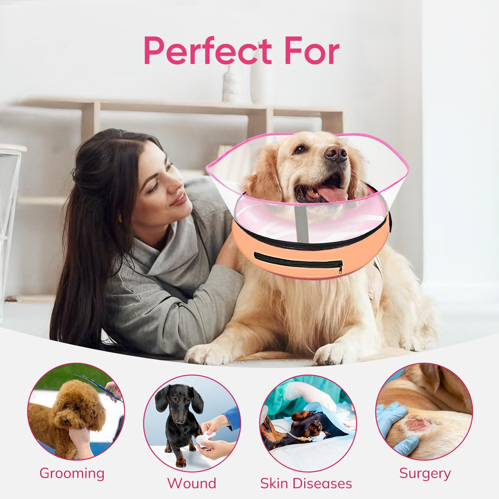 Supet accessoire pratique après chirurgie, aide le chien à manger et boire normalement.