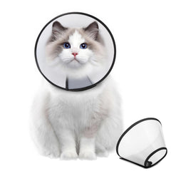 Collier-con Supet protège les blessures du chien