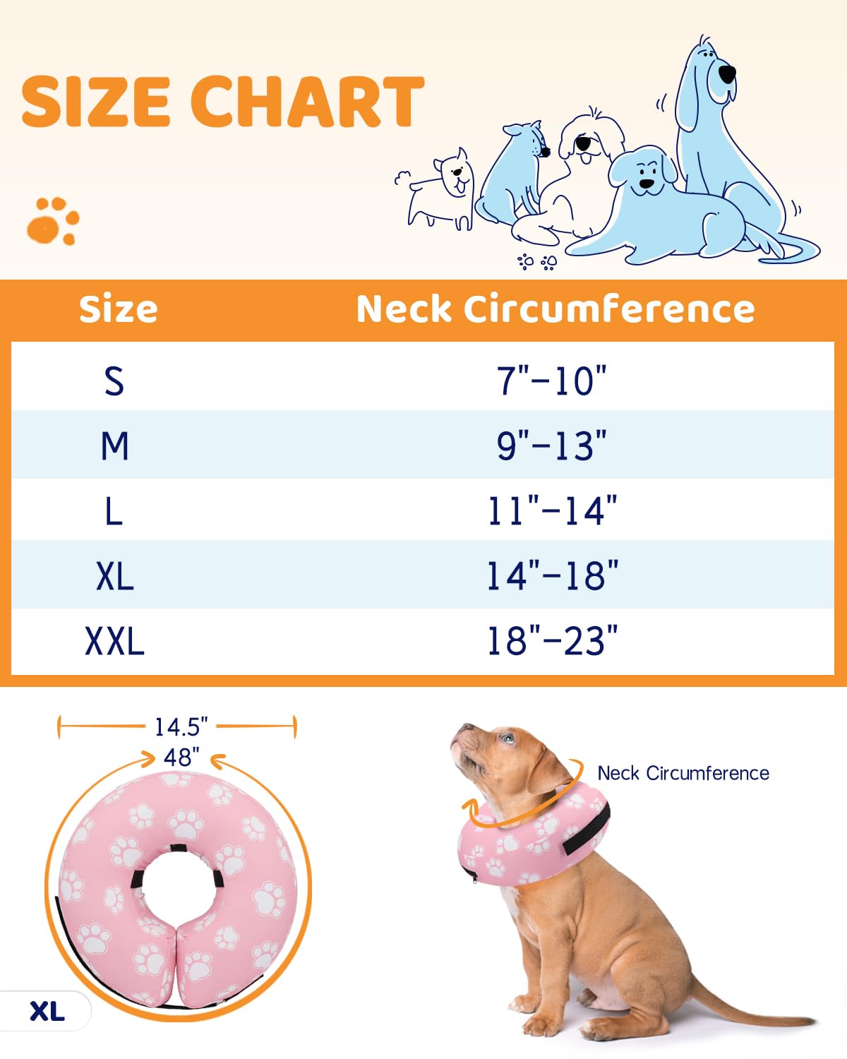 Acclimatation rapide au collier donut Supet pour chien.