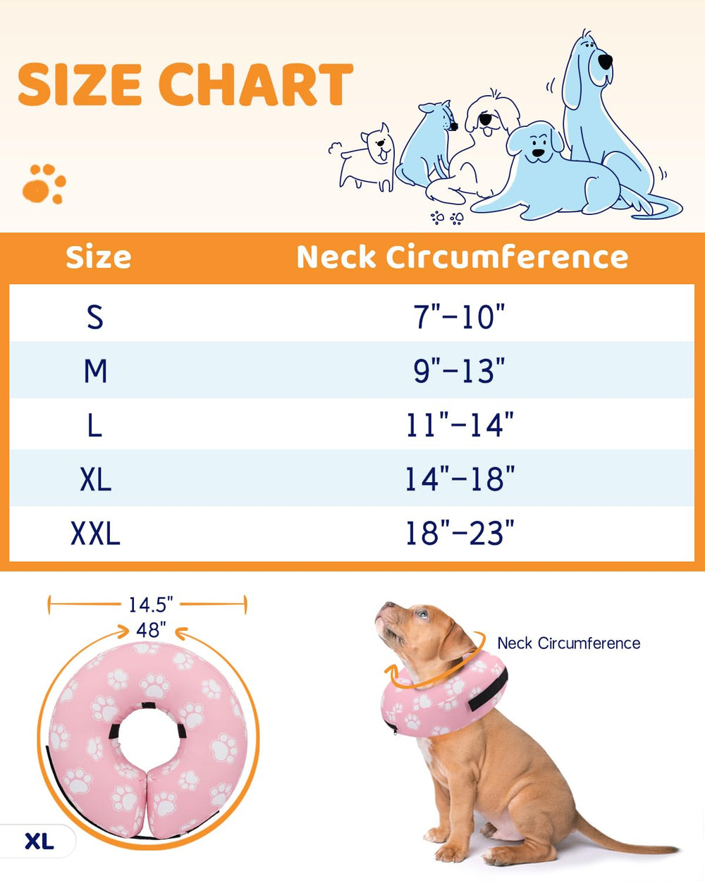 Acclimatation rapide au collier donut Supet pour chien.