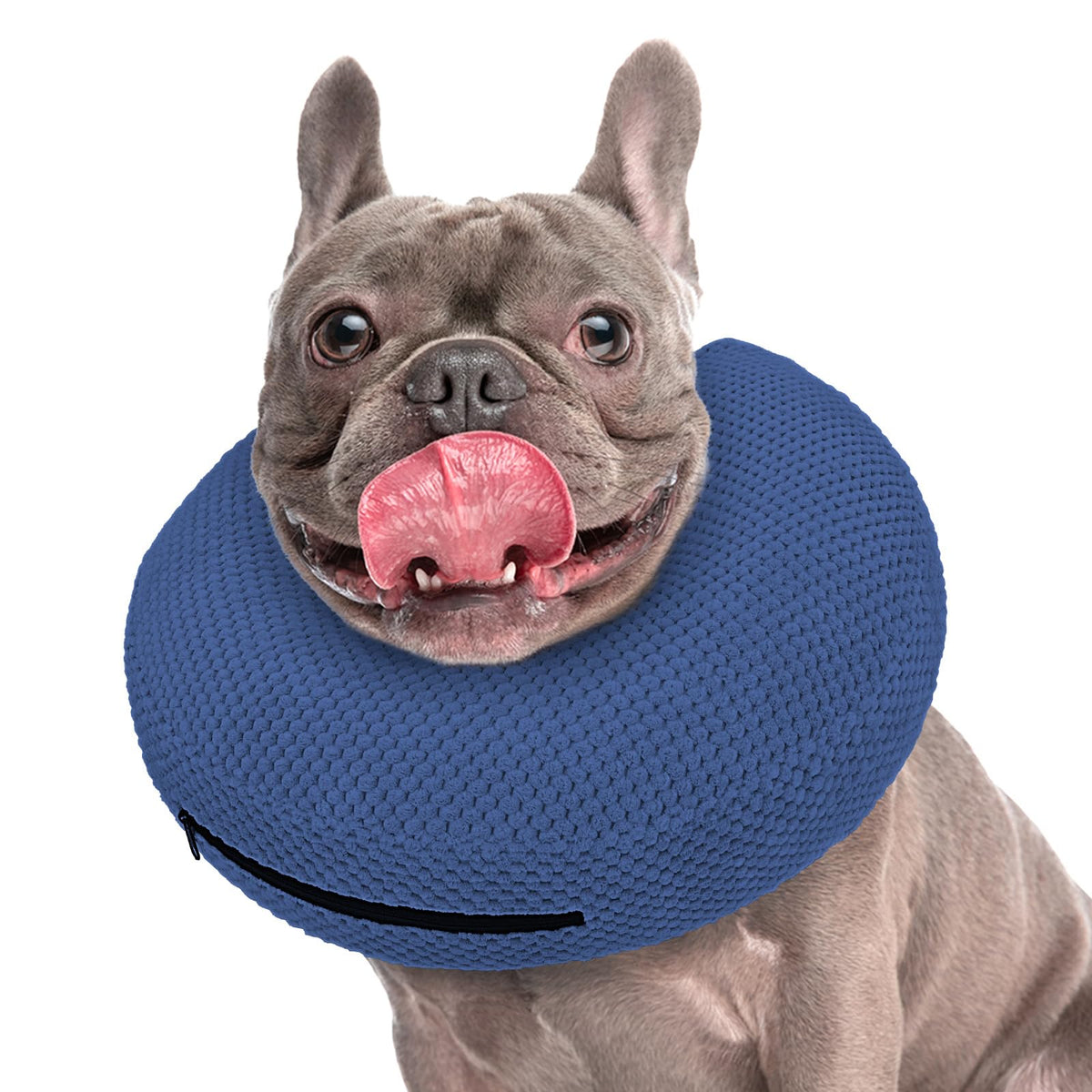 Supet collier donut gonflable chien: prévention du léchage après chirurgie.