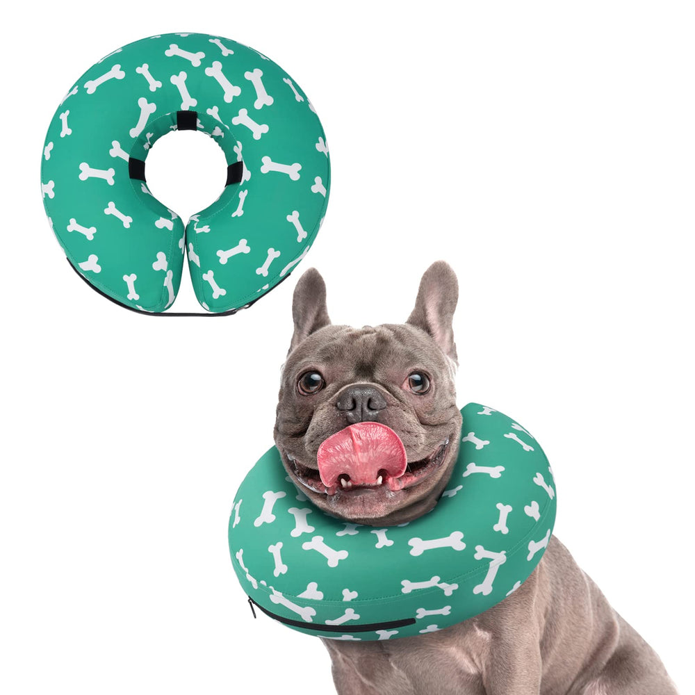 Collier gonflable Supet en beignet sur un chien, protection douce après chirurgie.