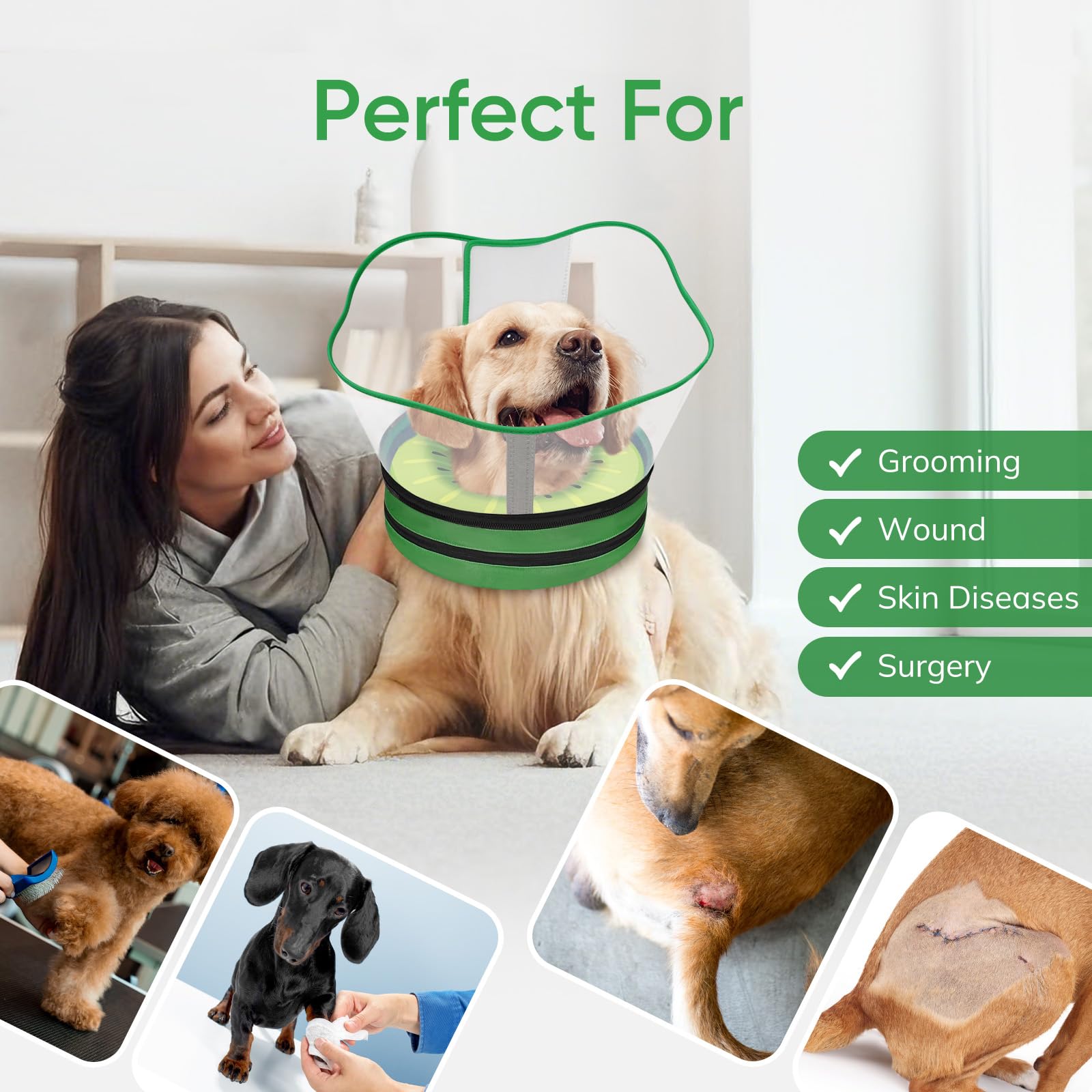 Supet collier Kiwi XXL favorise repas et jeu en sécurité.