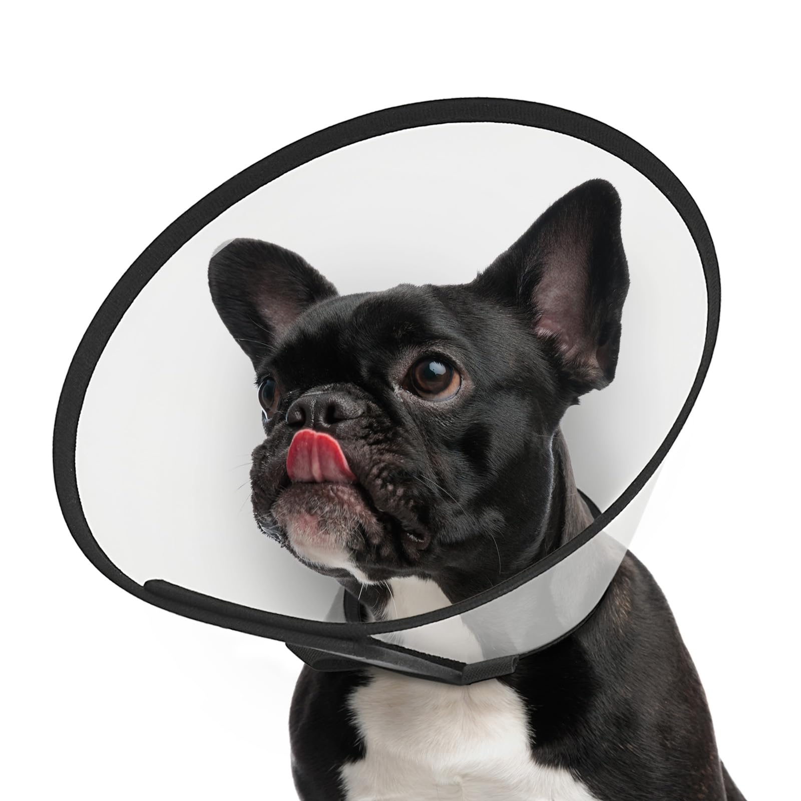 Cône Supet pour chien post-chirurgie, ajustable pour un port sûr.