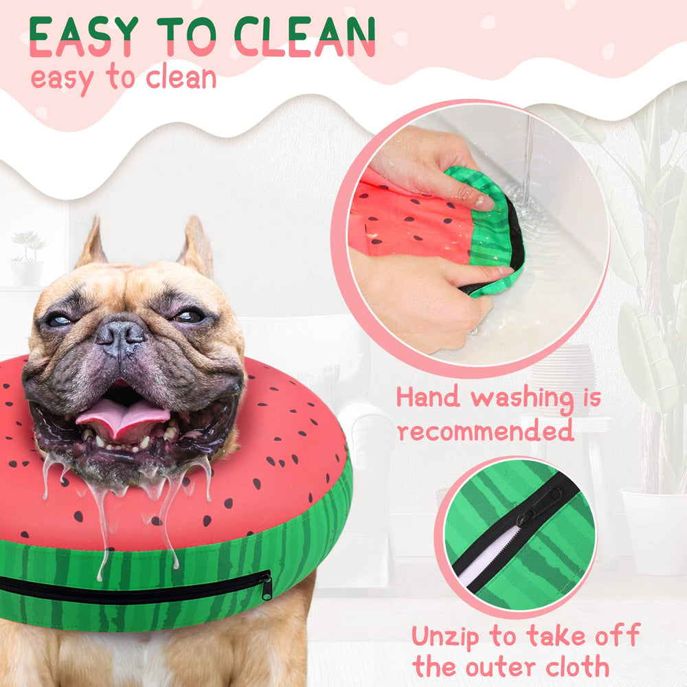 Design ludique en beignet pour chien, plaisant à voir.