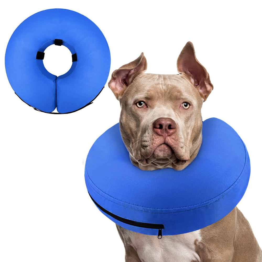 Supet collier donut après chirurgie, protection douce après intervention