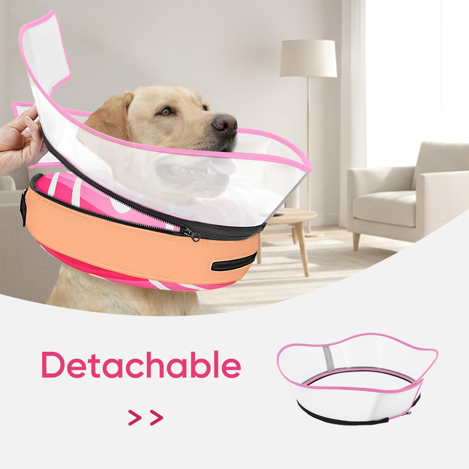 Supet collier récupération à double serrage, adapté aux grands chiens actifs et forts.