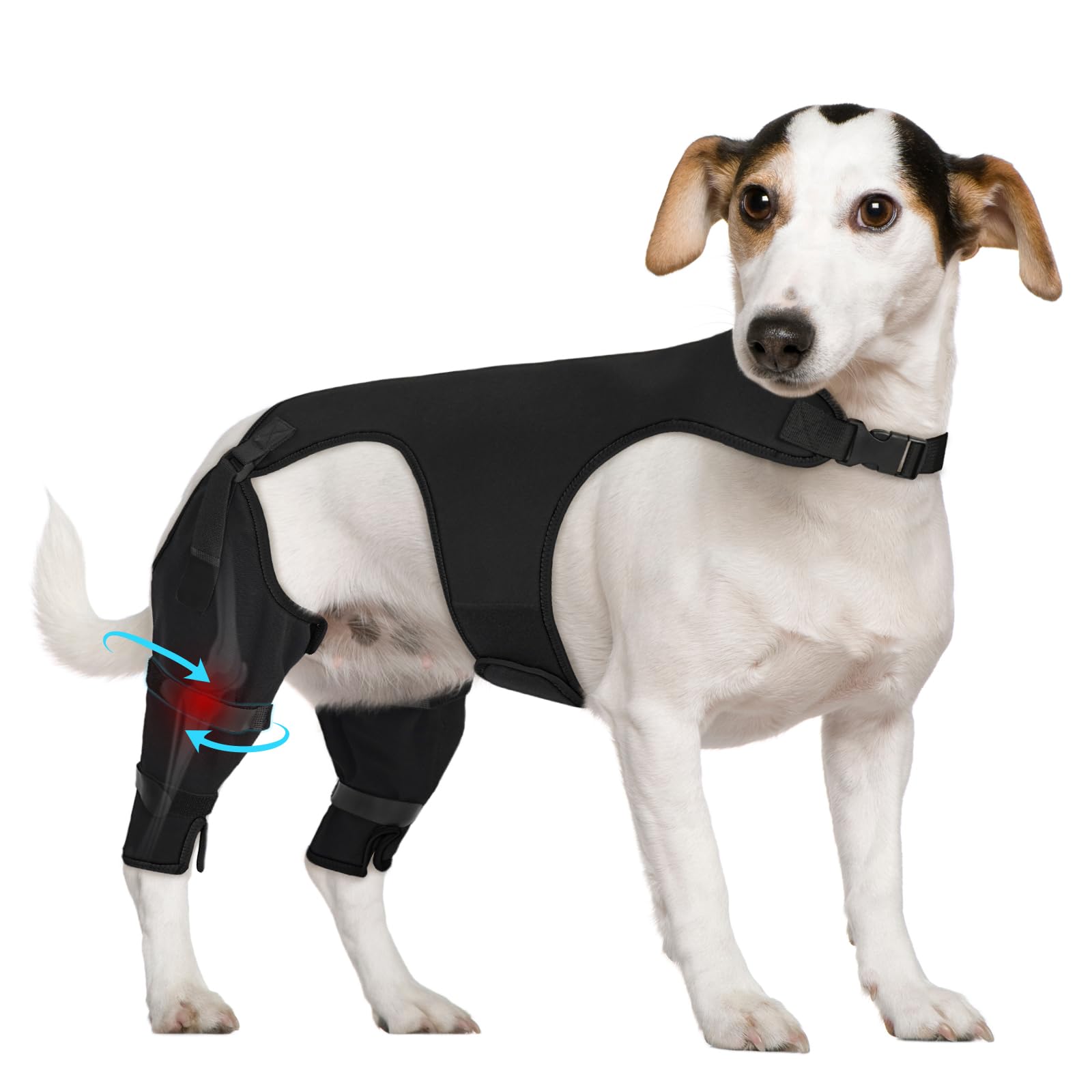 Manchon Supet protégeant la patte arrière du chien contre le léchage.