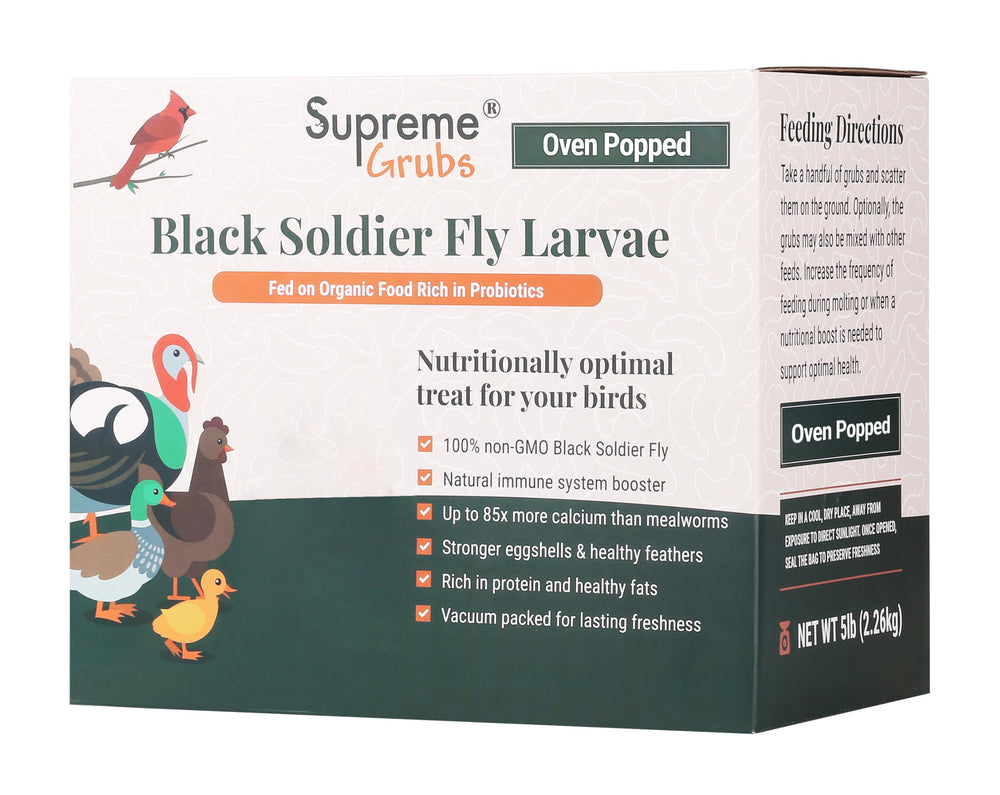 Supreme Grubs larves noires pour poules, source protéique riche et appétissante.