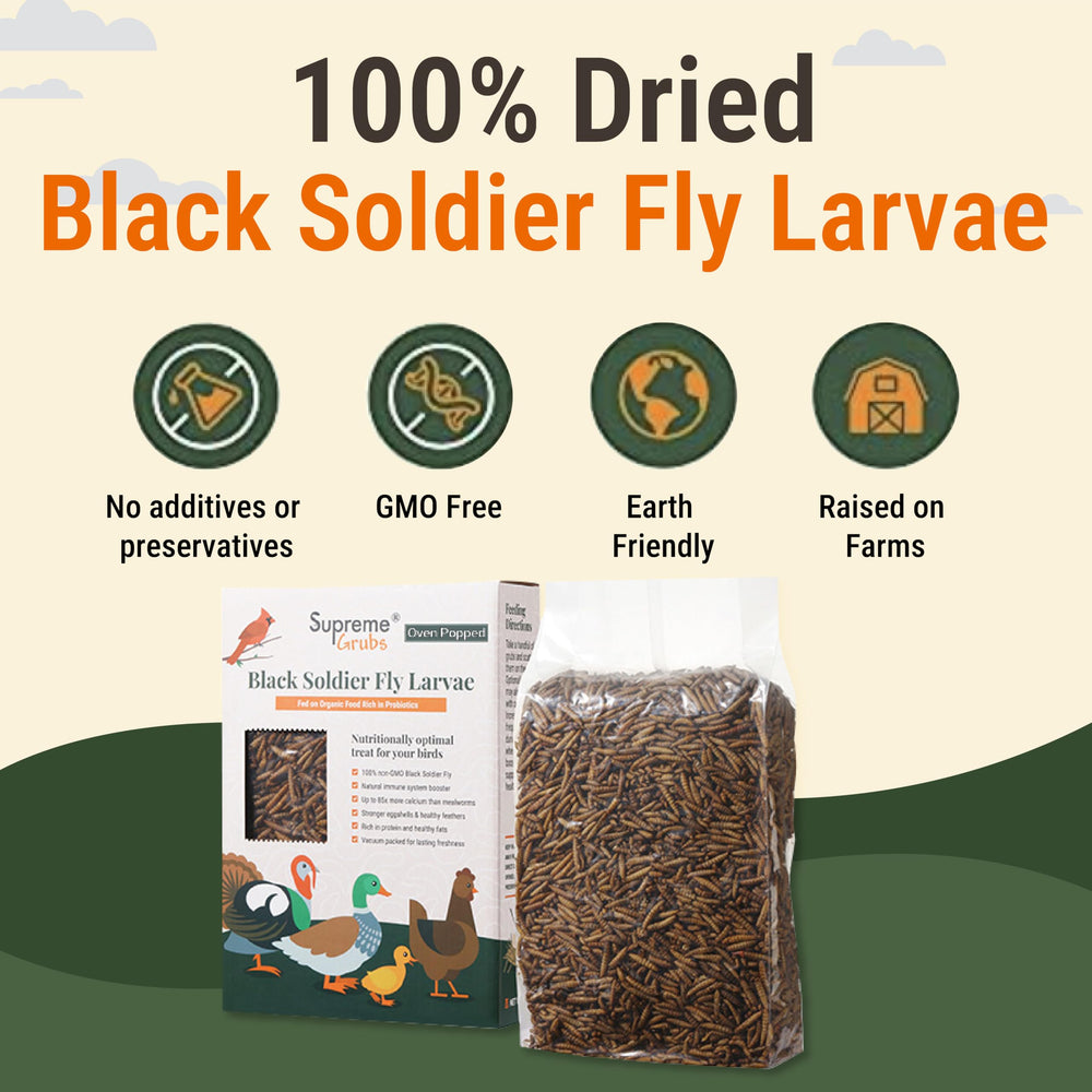 Sachet Supreme Grubs prêt à servir les poules avec facilité.