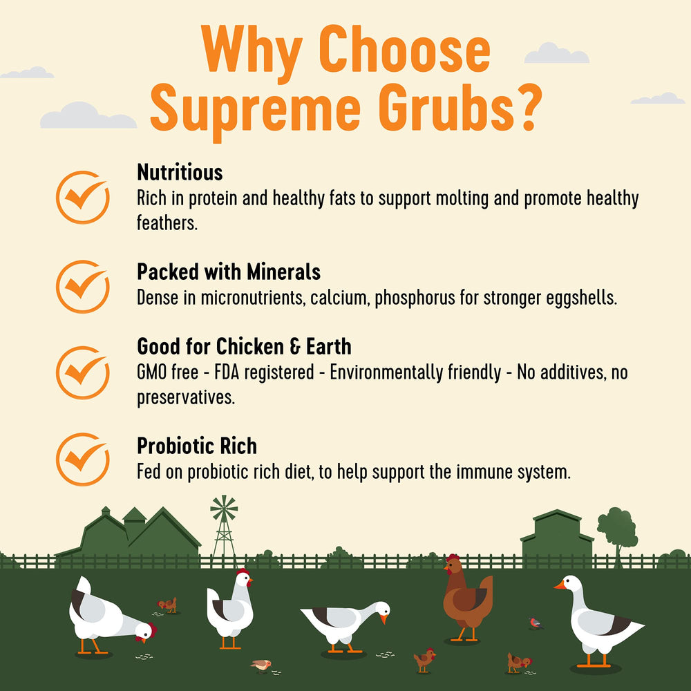 Soutien potentiel immunitaire et digestif des volailles avec Supreme Grubs.