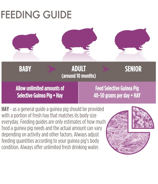 Supreme Petfoods Science Selective Cobaye ingrédients visibles suggèrent une recette complète