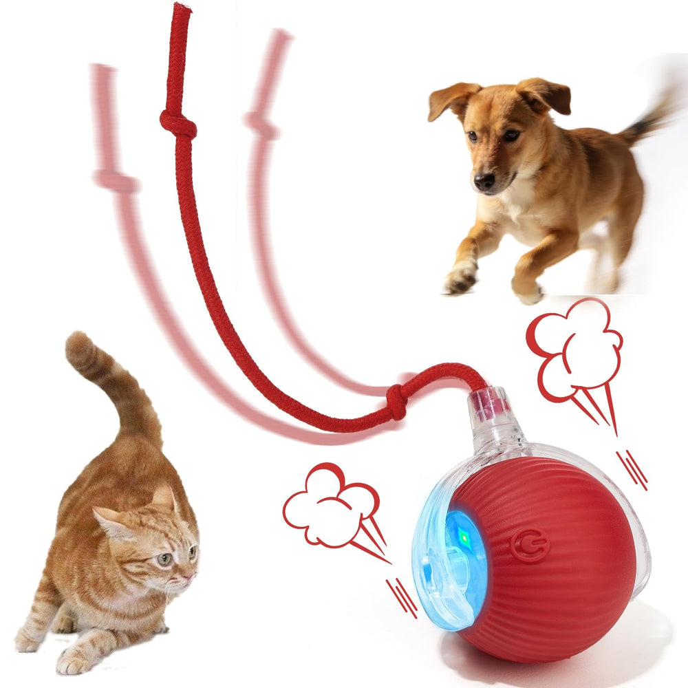 SUPVOL balle interactive pour chien et chat, favorise l’activité et le jeu intérieur.
