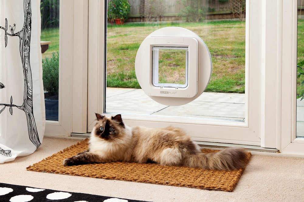 SureFlap peut mémoriser jusqu’à 32 identités pour deux chats ou plus.