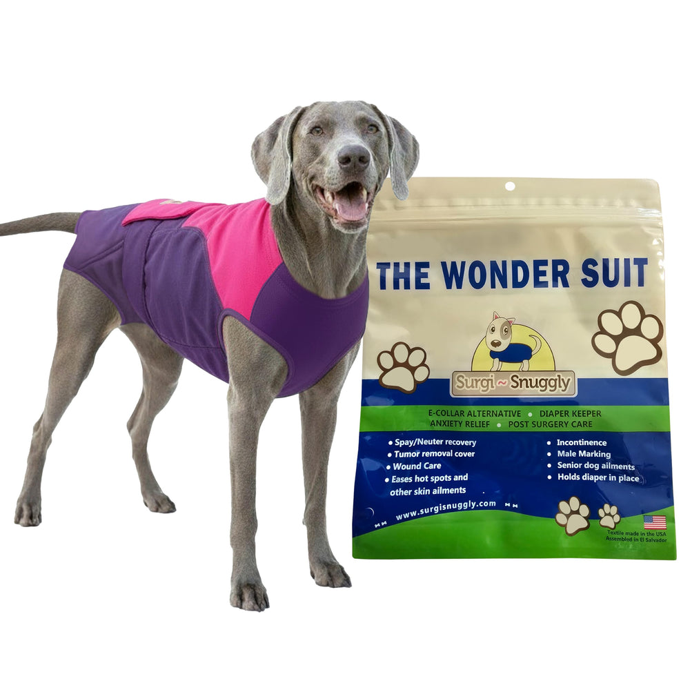Surgi~Snuggly combinaison chien protection couche pour un maintien fiable en déplacement.