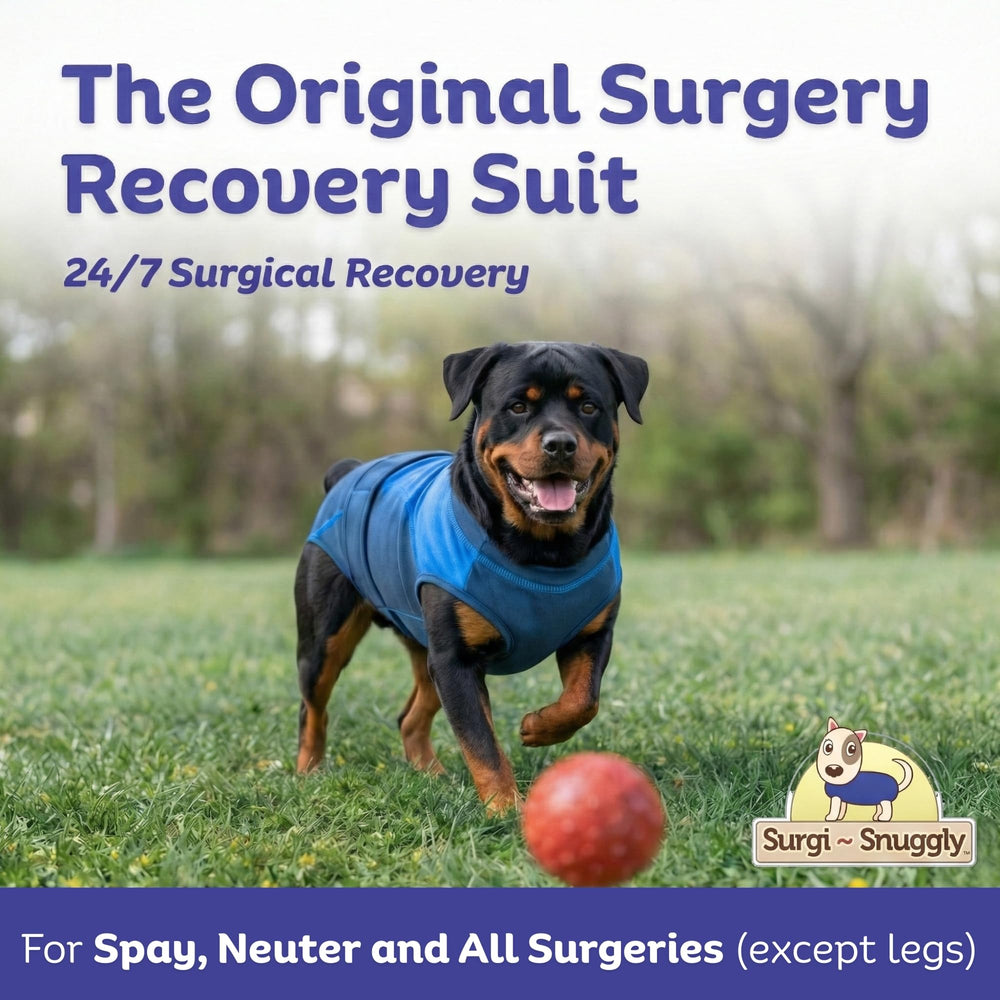 Surgi-Snuggly manteau récupération chien - protection anti-grattage quotidienne.