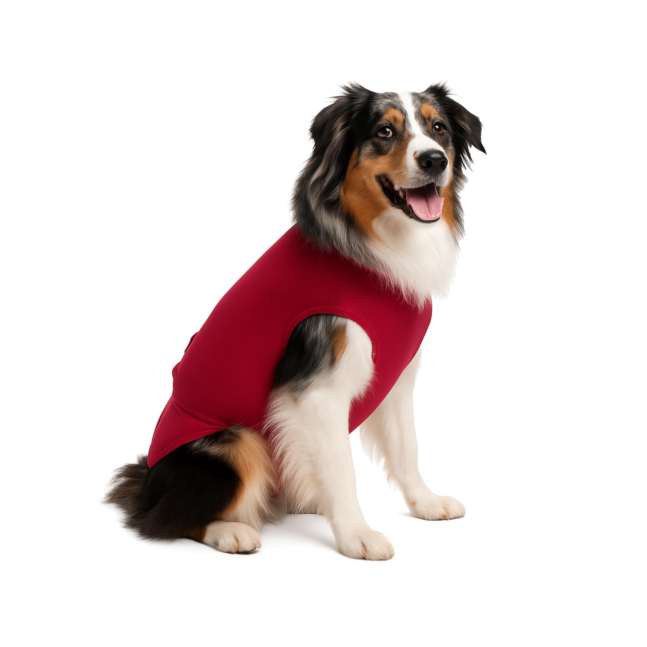 Système WaGS MS: ajustement précis sur le dos du chien.