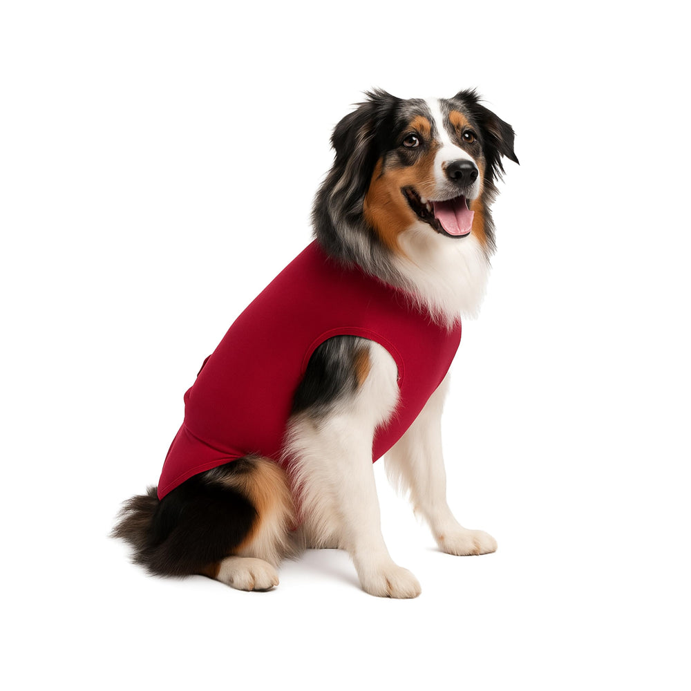 Système WaGS MS: ajustement précis sur le dos du chien.