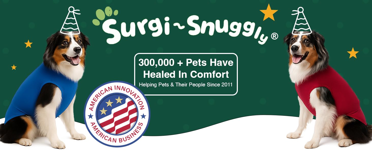 SurgiSnuggly couches jetables pour chien mâle ML, ajustement fiable et sans fuite.