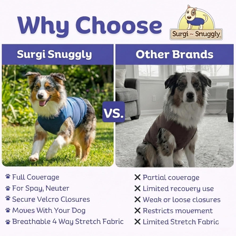 SurgiSnuggly tenue de récupération pour chien, utilisation quotidienne sûre.