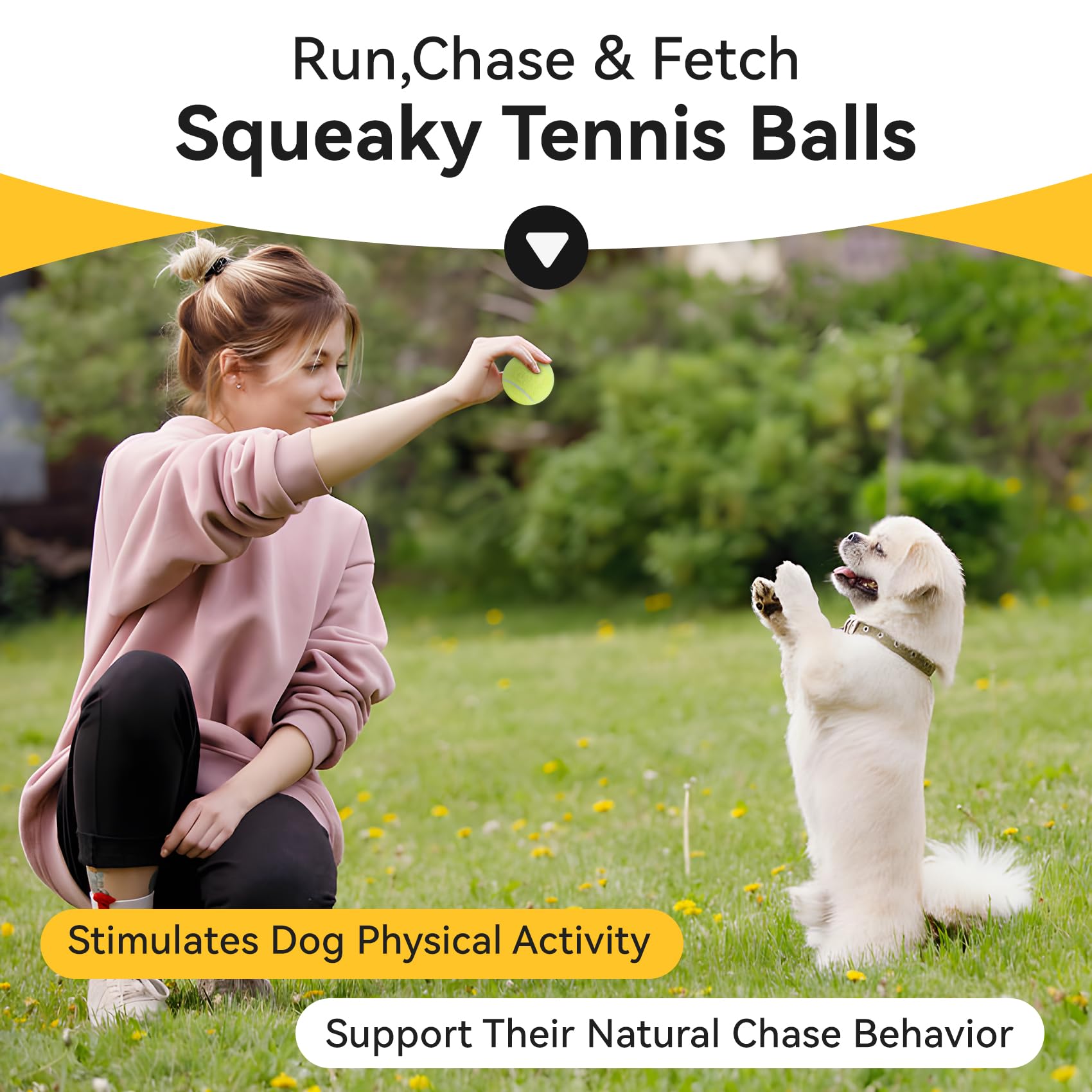 Susu & Wuwu: balle sifflante non toxique, jeu sûr pour chiots.