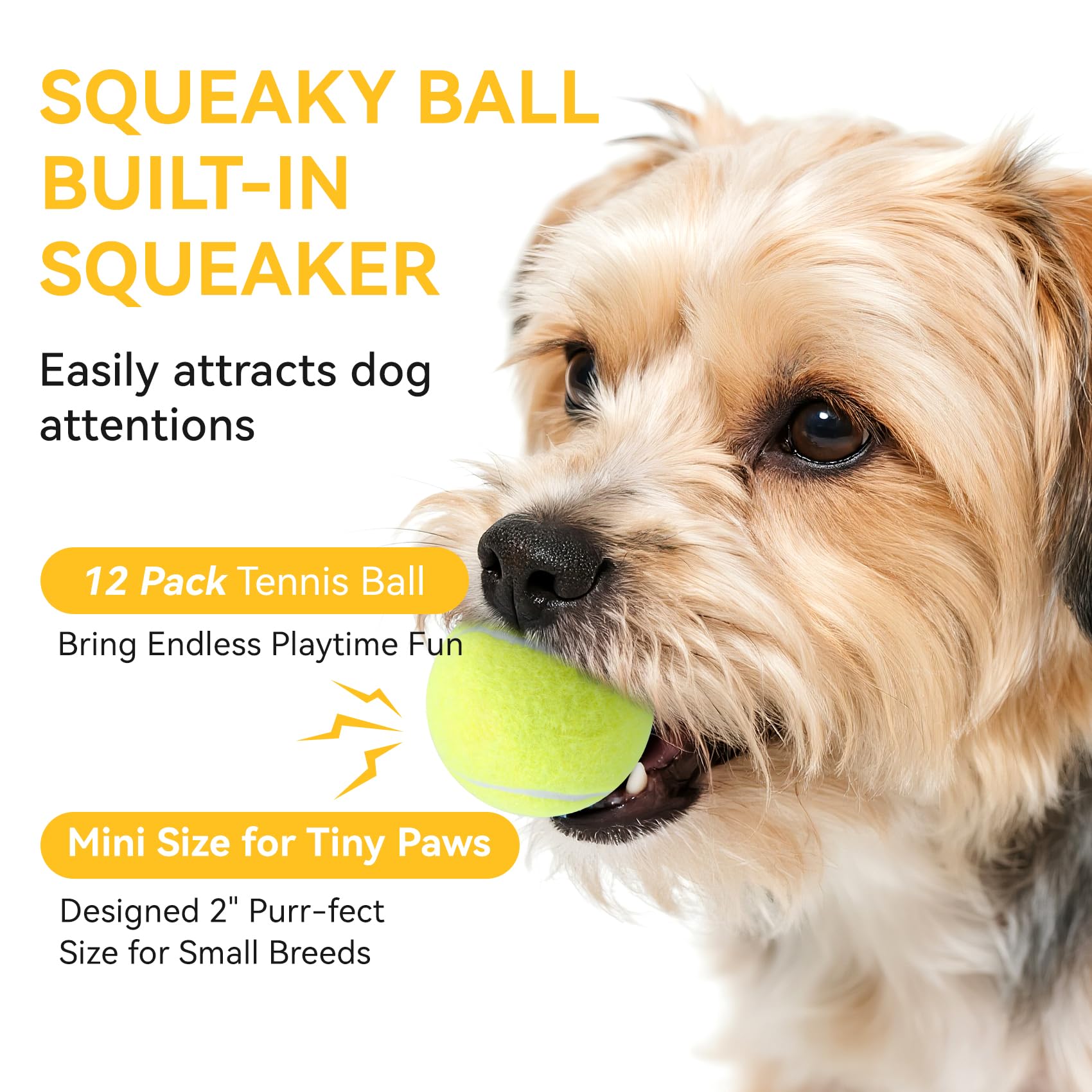 Susu & Wuwu: balle sifflante en action, chien qui court et attrape.