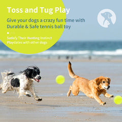 Susu & Wuwu balle tennis chien, jouet pour activité plein air et exercice convivial.