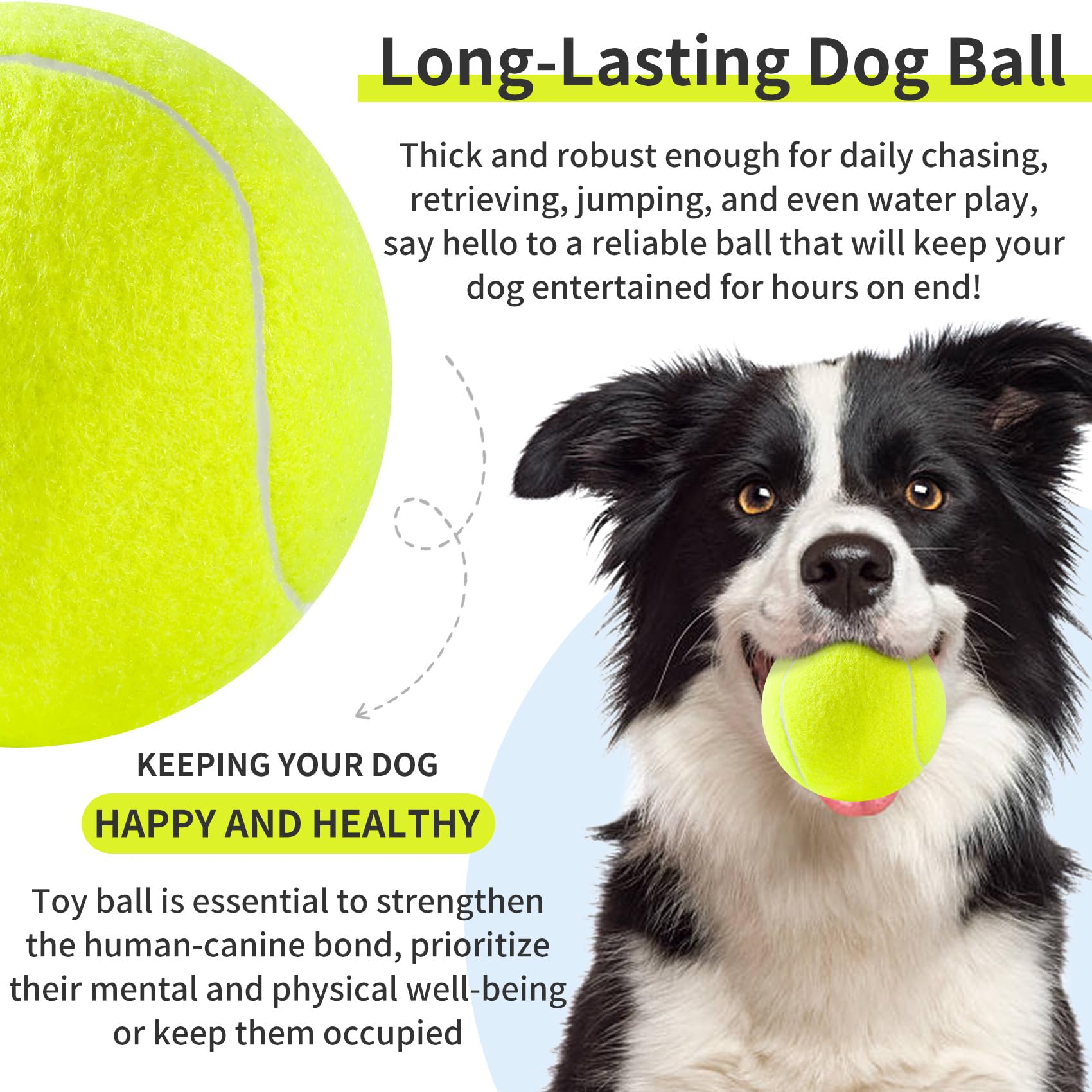 Susu & Wuwu balle tennis chien, couleurs brillantes attirant l'attention.