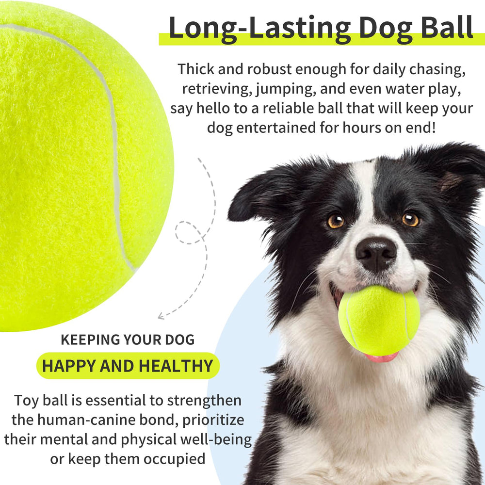 Susu & Wuwu balle tennis chien, couleurs brillantes attirant l'attention.