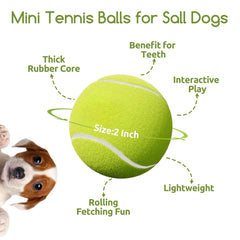 Jouet balle tennis petit chien susu & wuwu pour interaction et exercice