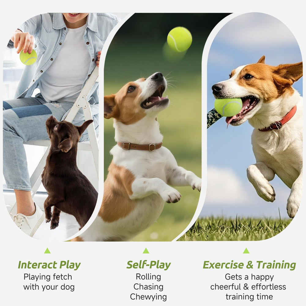 Balles tennis couleurs vives susu & wuwu pour jardin plage