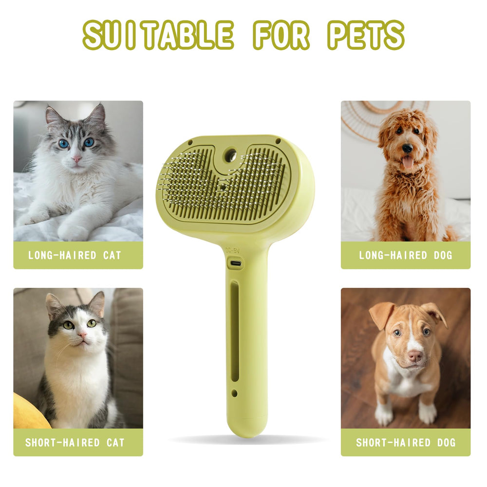 Brosse susu et wuwu avec réservoir eau, spray doux pendant le brossage.