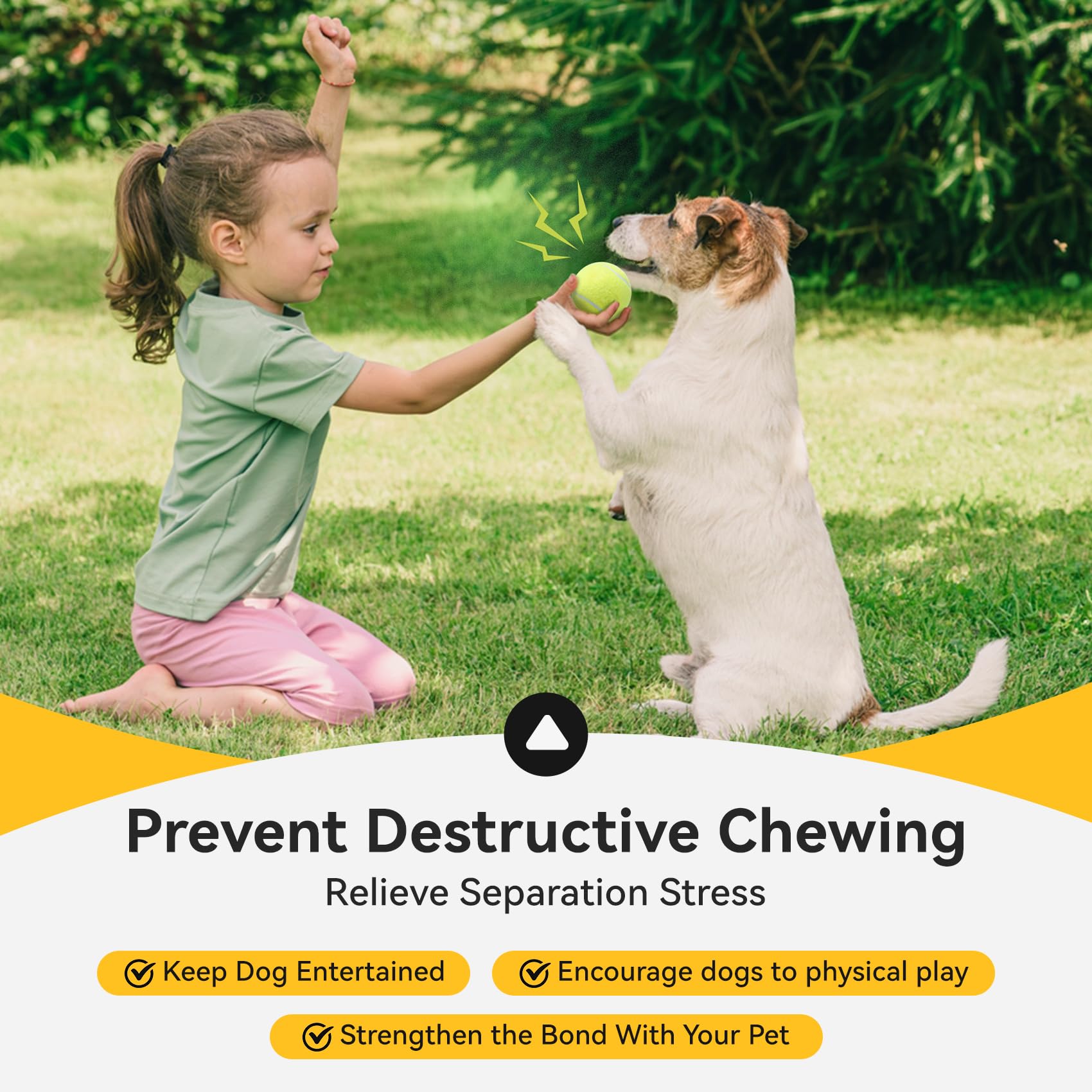 Susu & Wuwu: ensemble de 12 balles sifflantes pour plusieurs chiens.