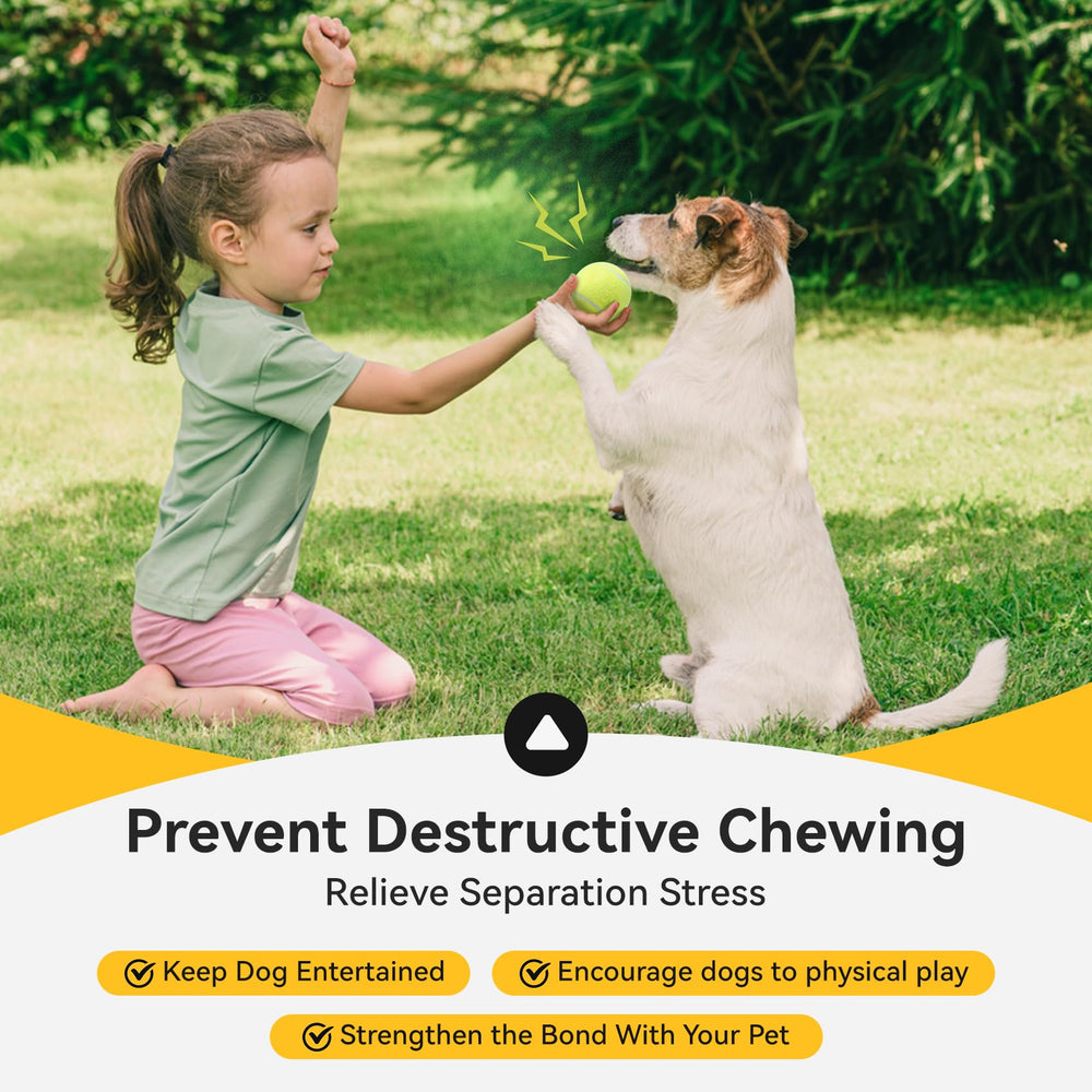 Susu & Wuwu: ensemble de 12 balles sifflantes pour plusieurs chiens.
