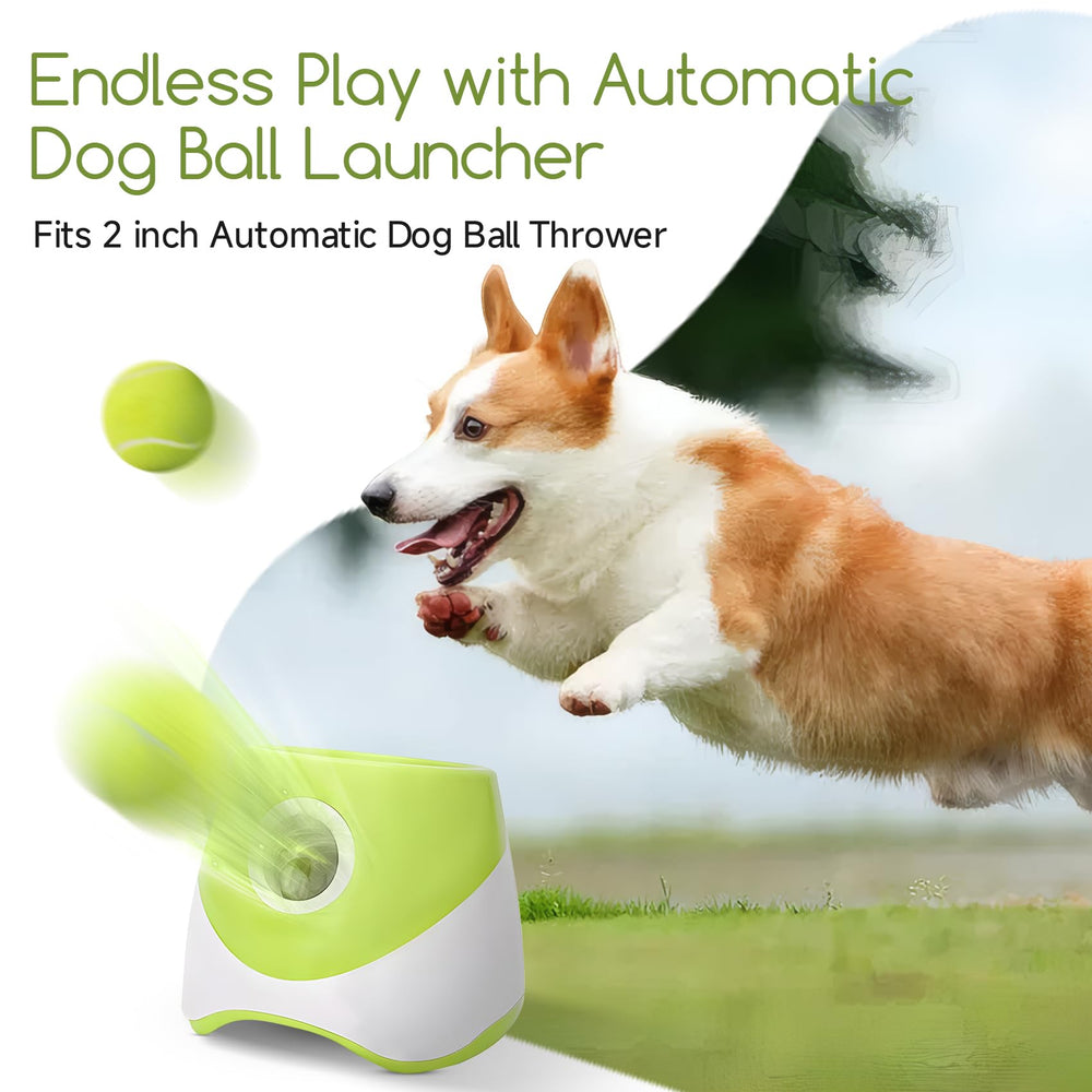 Jouet léger pour chien petit susu & wuwu, idéal pour sessions de jeu