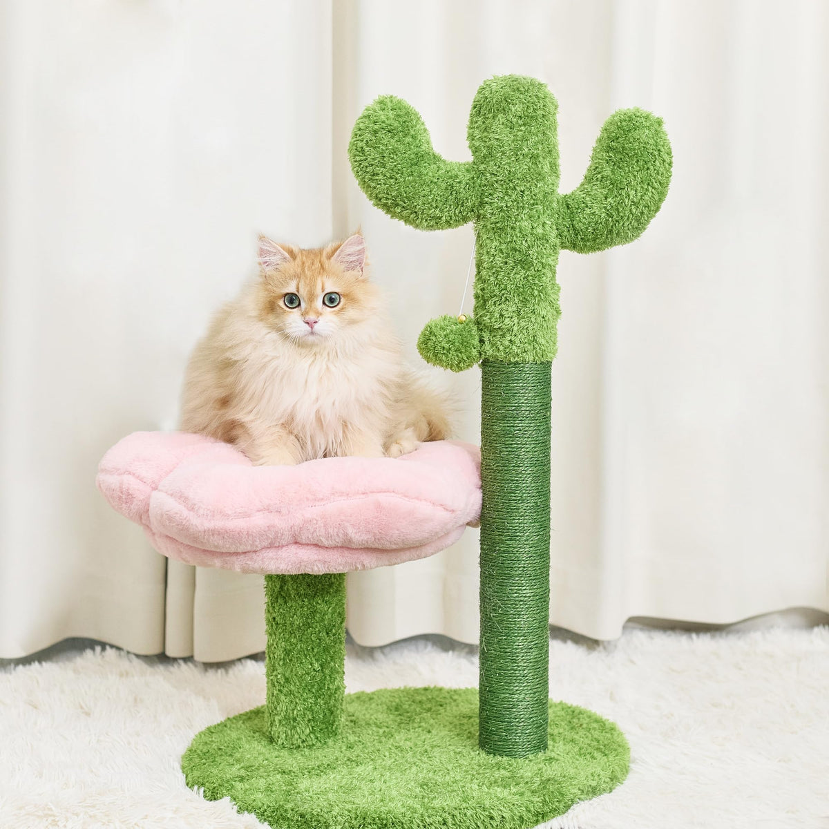 Suudroeen chat grattoir cactus: griffage efficace et décor moderne.