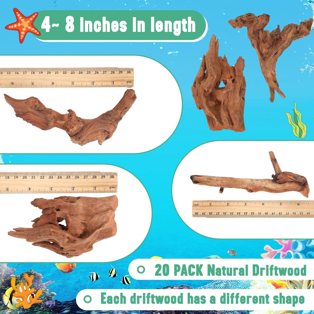 Suzile bois flotté corail, 4-7 pouces, formes variées pour décoration terrarium.