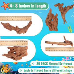 Suzile bois flotté corail, 4-7 pouces, formes variées pour décoration terrarium.