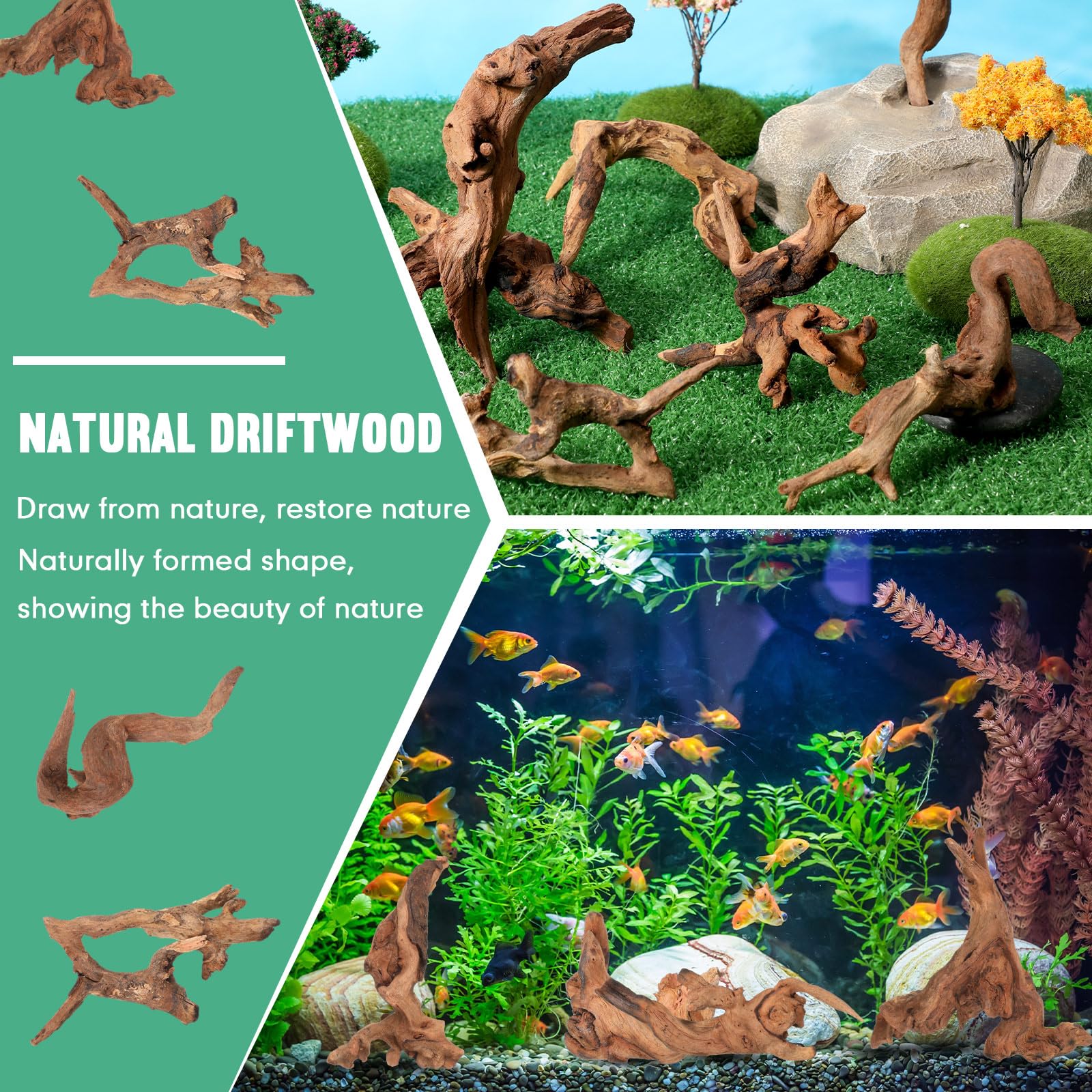 Suzile bois flotté corail, parfait pour terrariums et habitats reptiles.