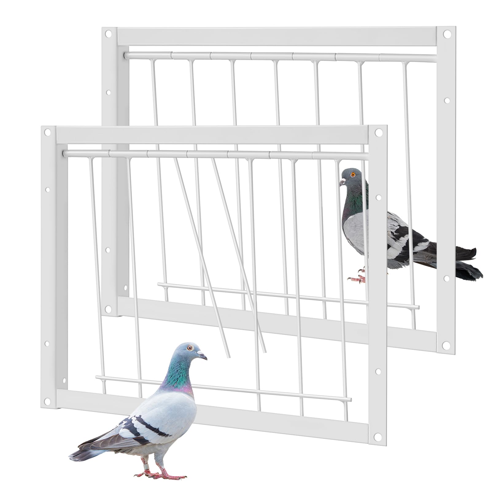 Suzile porte d'entrée pigeon une voie, entrée en sens unique pour un élevage maîtrisé