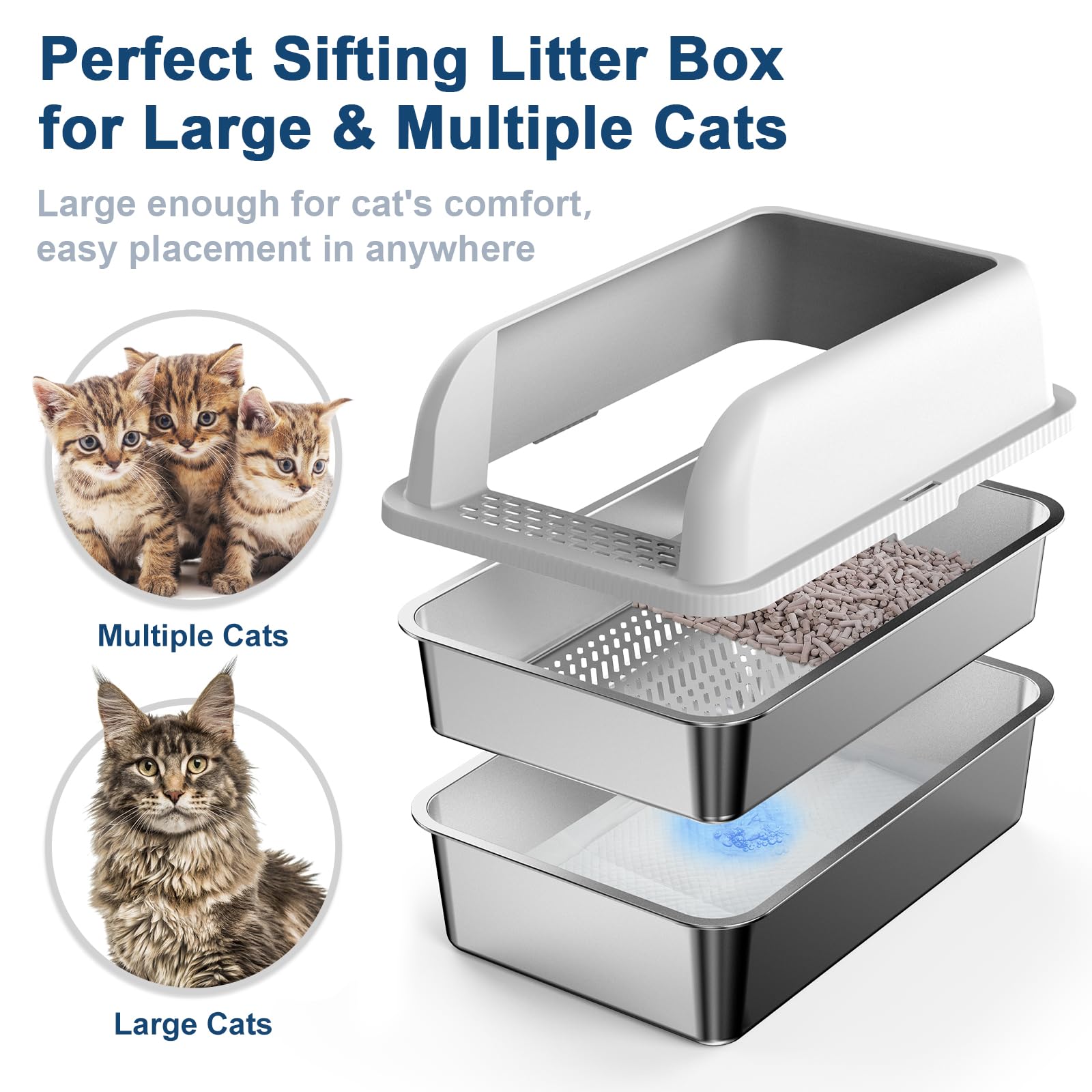 Suzzipaws espace généreux pour grands chats, confort lors des déplacements.