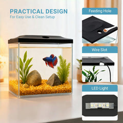 SW PRODUCTS éclosion bébés poissons: espace sûr pour éclosion et suivi.