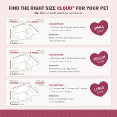 Guide de cérémonie Sweet Goodbye Cloud pour adieux personnalisés et dignité.