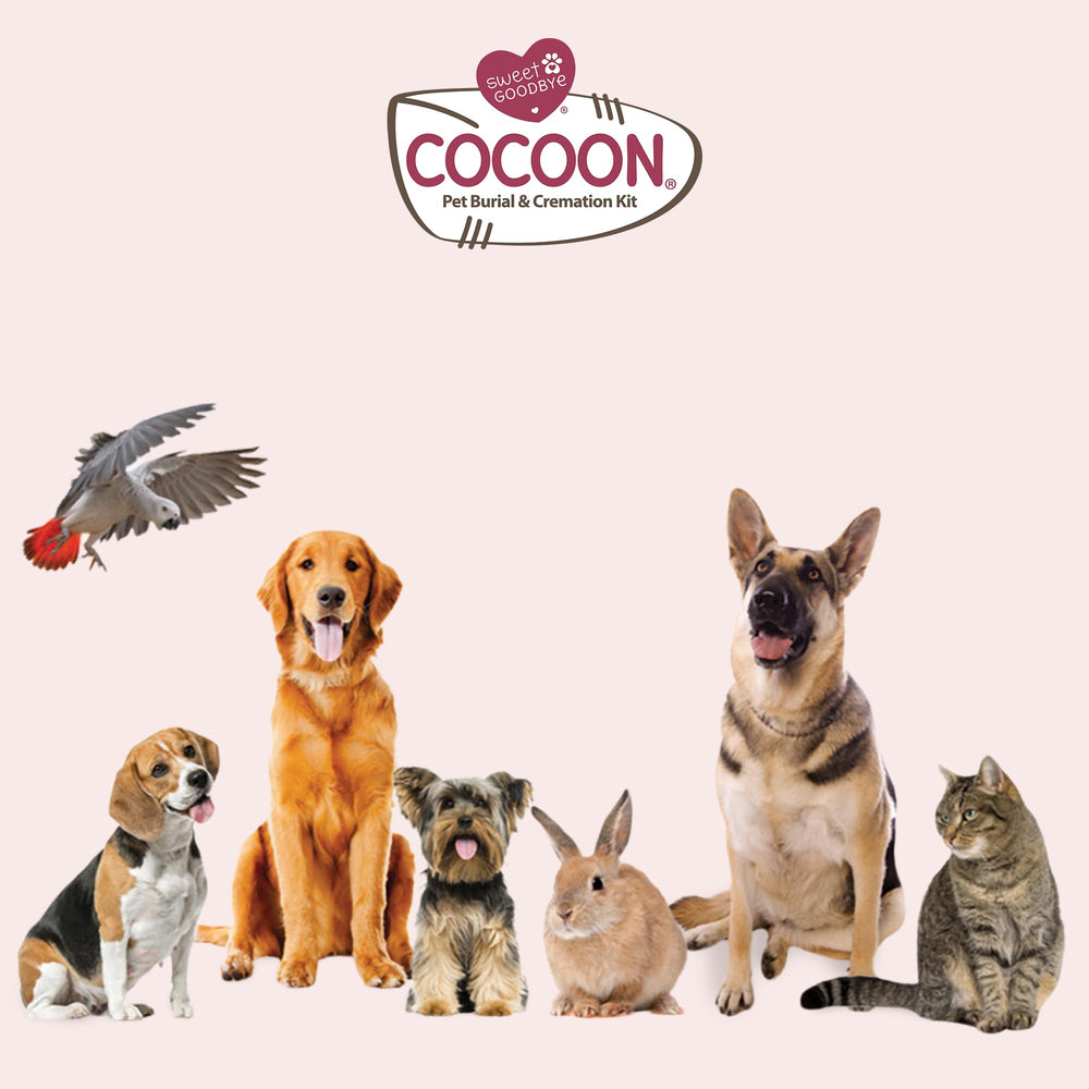 Accessoires et guide inclus pour une cérémonie mémorable avec Sweet Goodbye Cocoon