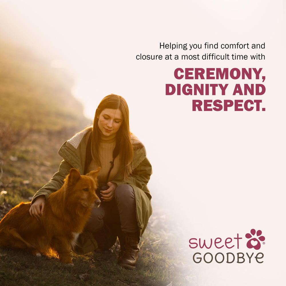 Sweet Goodbye Cocoon: solution écoresponsable pour des adieux significatifs.