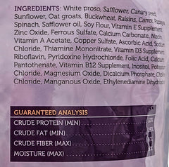 Sweet Harvest calopsitte, graines tournesol soleil, soutien énergétique potentiel.